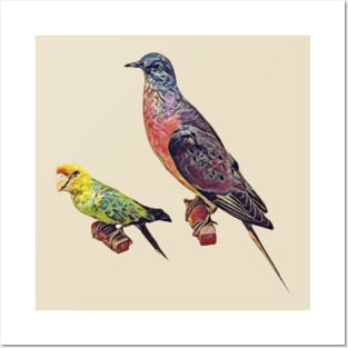 Extinct Birds (passenger pigeon and Carolina parakeet) Posters and Art